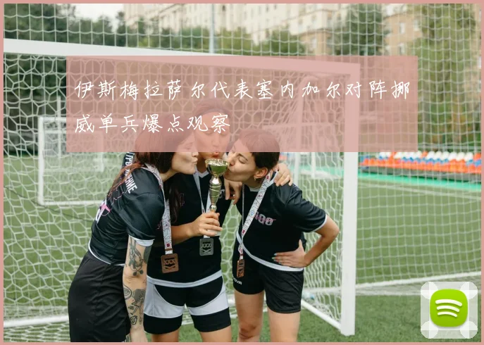 伊斯梅拉萨尔代表塞内加尔对阵挪威单兵爆点观察