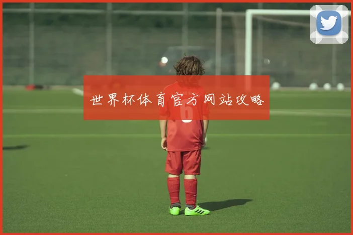 世界杯体育官方网站攻略