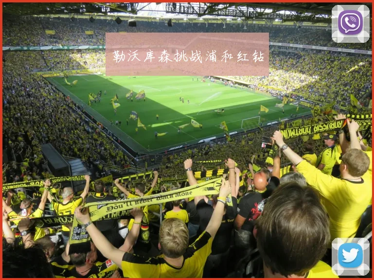 勒沃库森挑战浦和红钻
