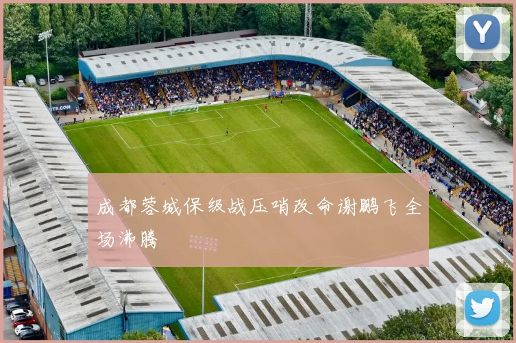 成都蓉城保级战压哨改命谢鹏飞全场沸腾