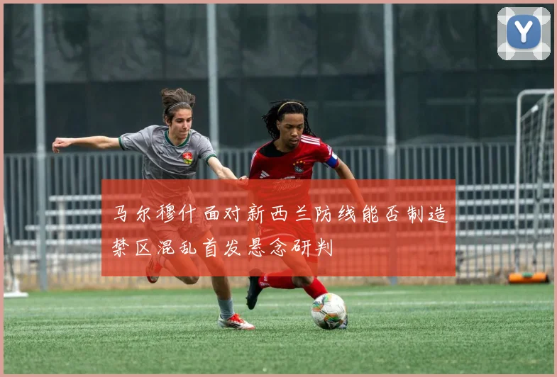 马尔穆什面对新西兰防线能否制造禁区混乱首发悬念研判