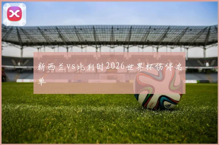 新西兰vs比利时2026世界杯伤停名单