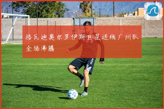 格瓦迪奥尔罗伊斯巨星连线广州队全场沸腾