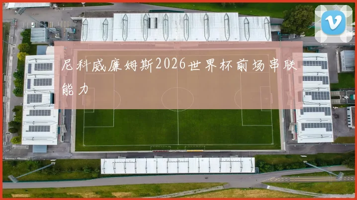 尼科威廉姆斯2026世界杯前场串联能力