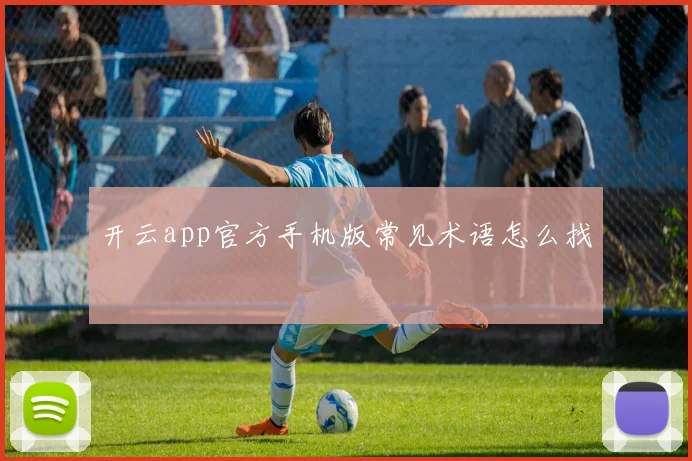 开云app官方手机版常见术语怎么找